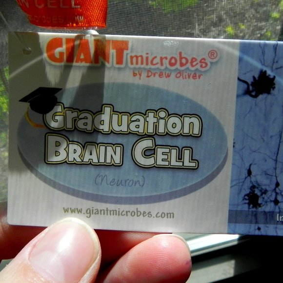 Graduation Brain Cell - Picture 2 of 4